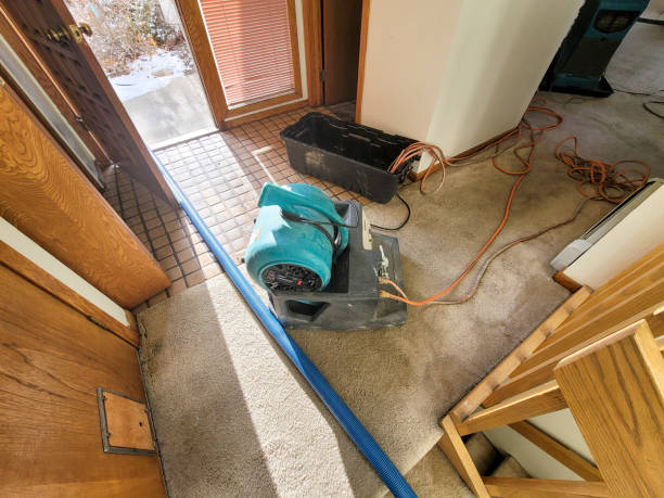 Best Mold removal after water damage  in Stevens Point, WI