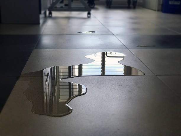 Best Water damage contractors near me  in Stevens Point, WI