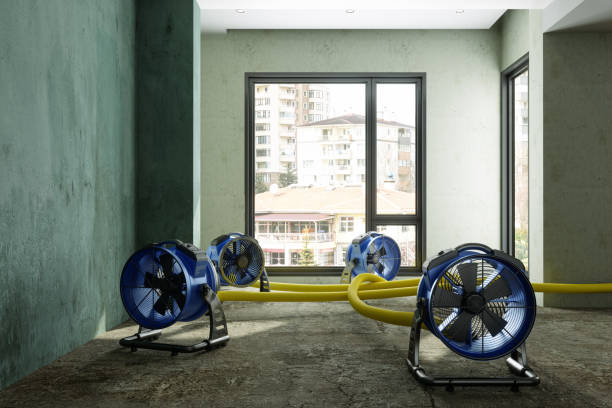 Best 24-hour water damage restoration  in Stevens Point, WI