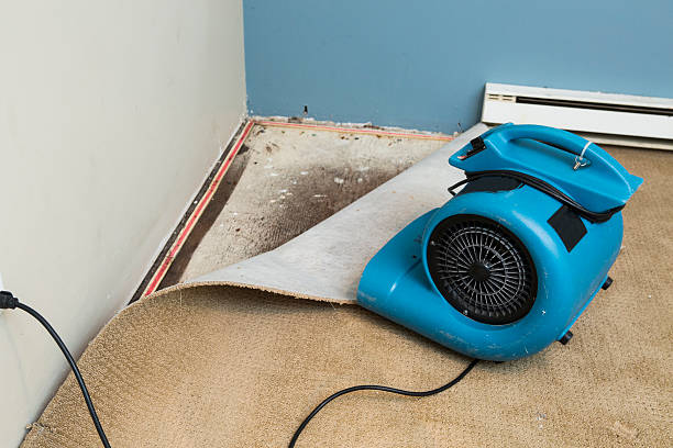 Best Water damage restoration cost  in Stevens Point, WI